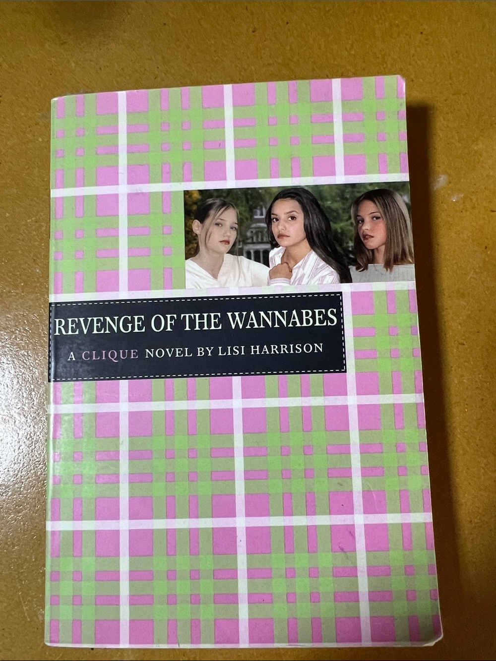Revenge of the Wannabes Book
